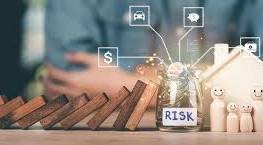 Insurance, Risk Management image